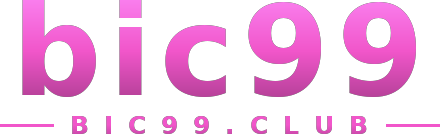 bic99 logo